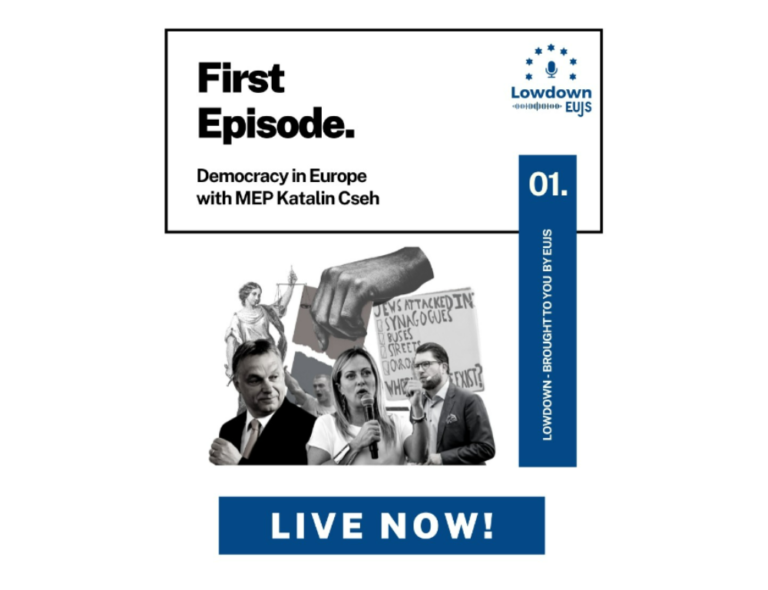 The Lowdown I: Democracy in Europe with MEP Katalin Cseh